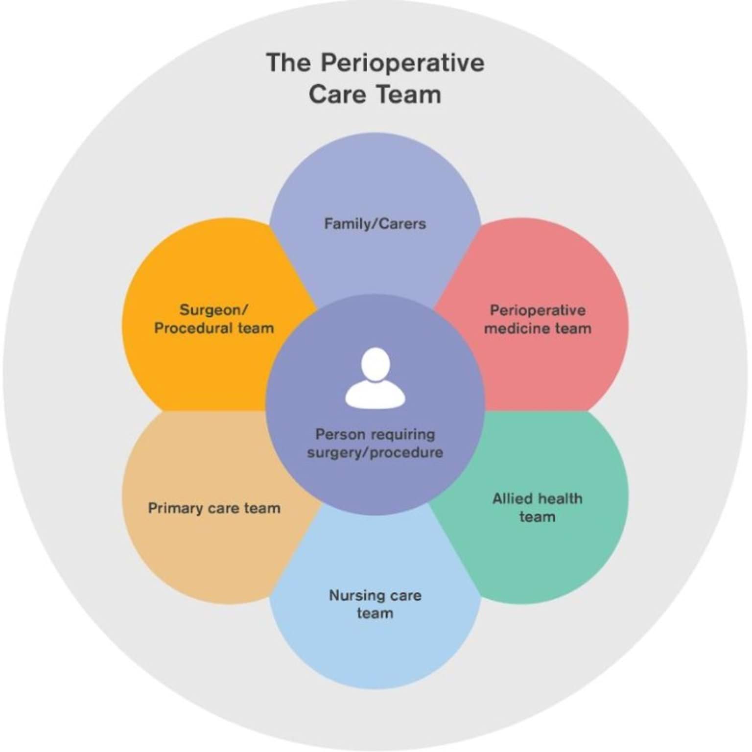 Figure 2: The perioperative care team (POCT)